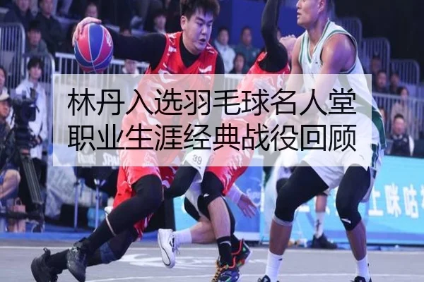 lin-dan-ru-xuan-yu-mao-qiu-ming-ren-tang-zhi-ye-sheng-ya-jing-dian-zhan-yi-hui-gu-2-234.jpg